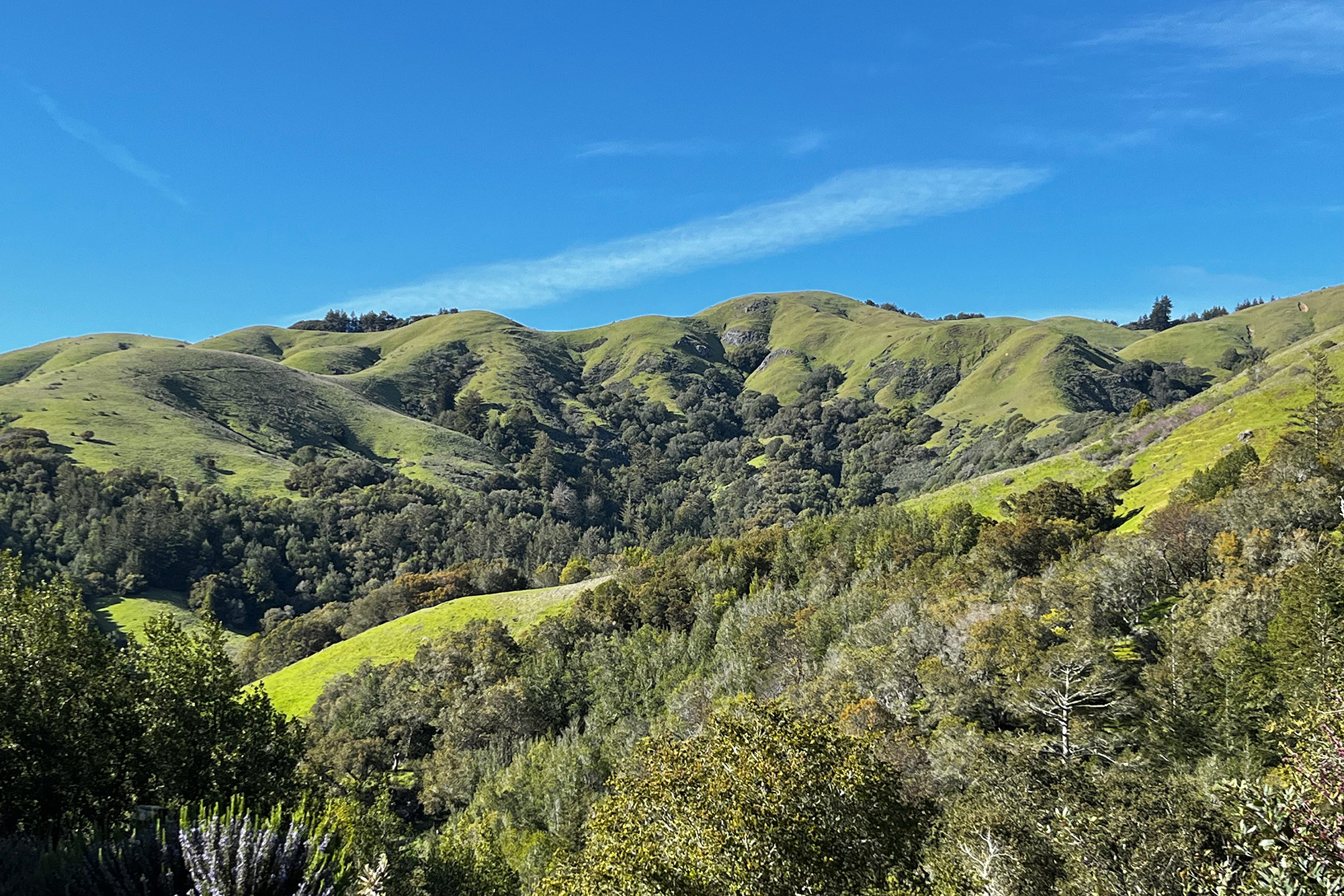 West Marin Estate #35