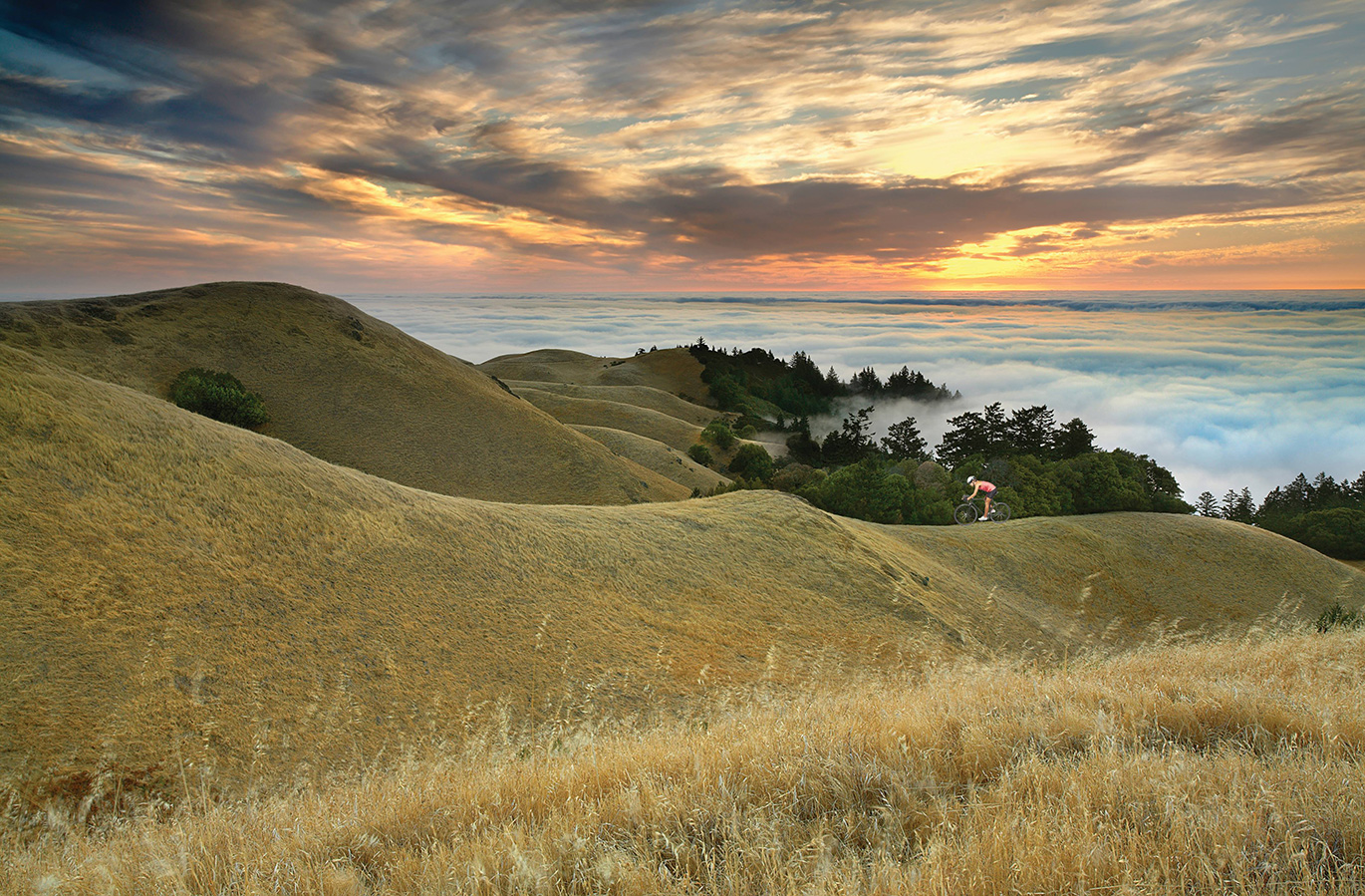 Marin Headlands Photo