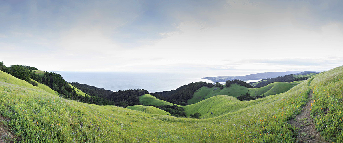 Marin Headlands Photo