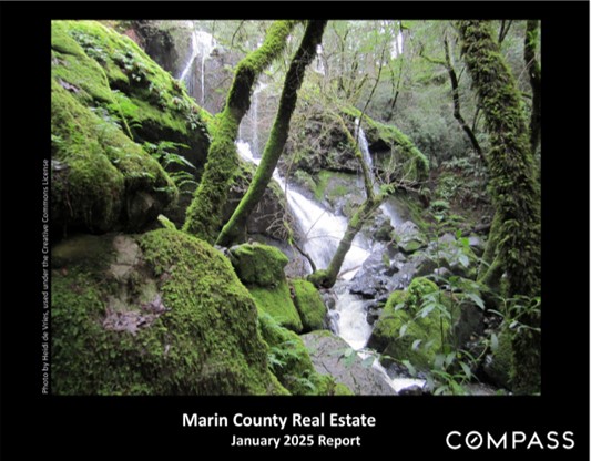 Marin County Real Estate Report - January 2025