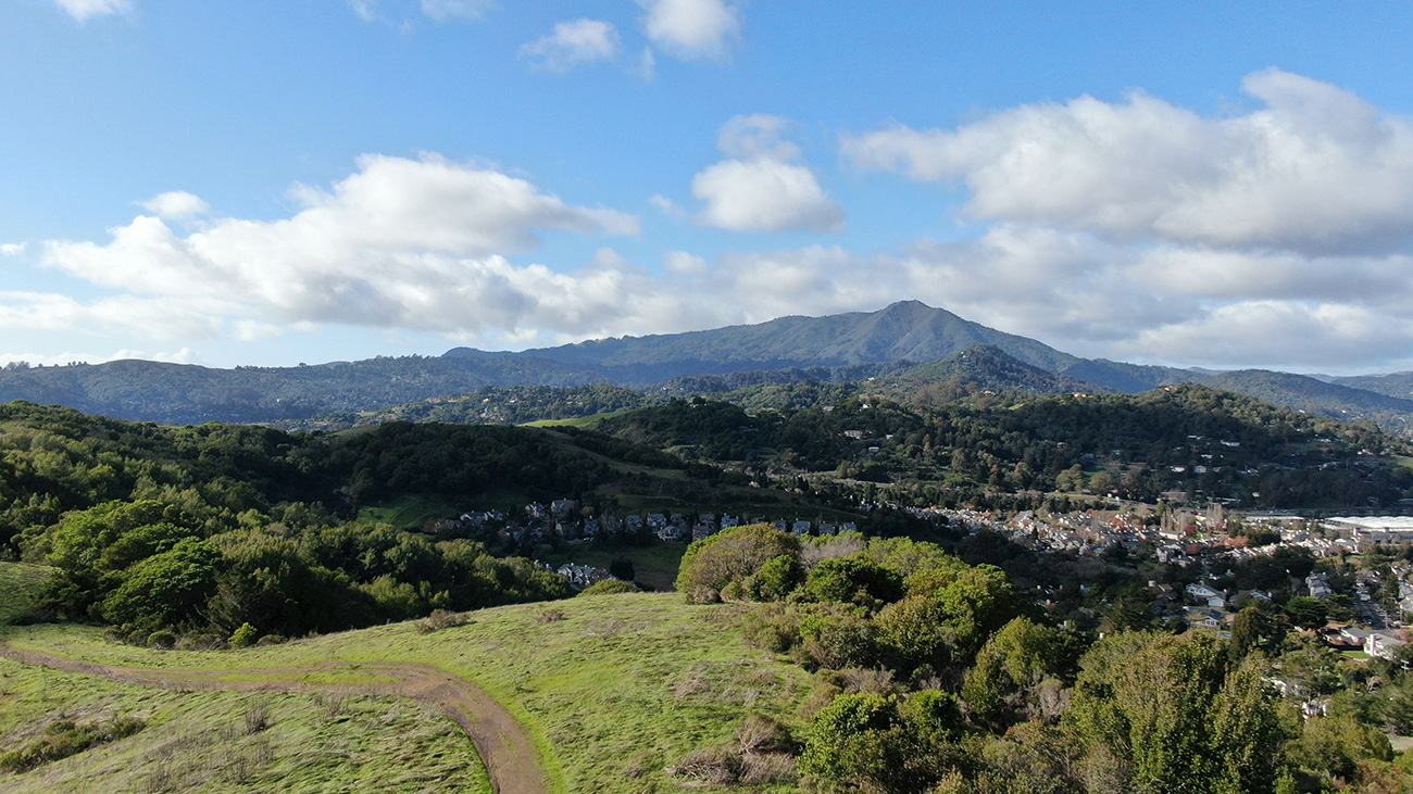 Luxury Marin Homes - Tiburon